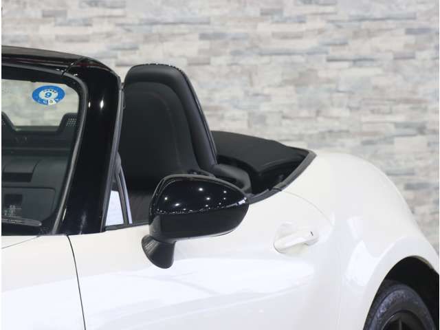 ROADSTER