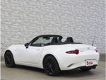 ROADSTER
