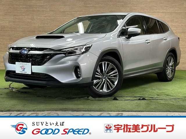 LEVORG LAYBACK
