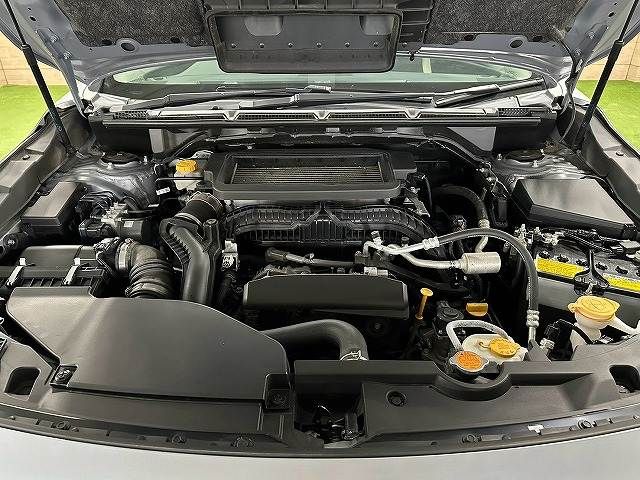 LEVORG LAYBACK