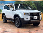 LANDCRUISER 250