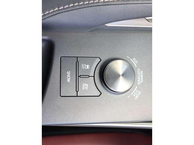 LEXUS IS300h
