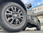 LANDCRUISER 250