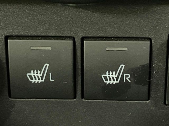 RAIZE