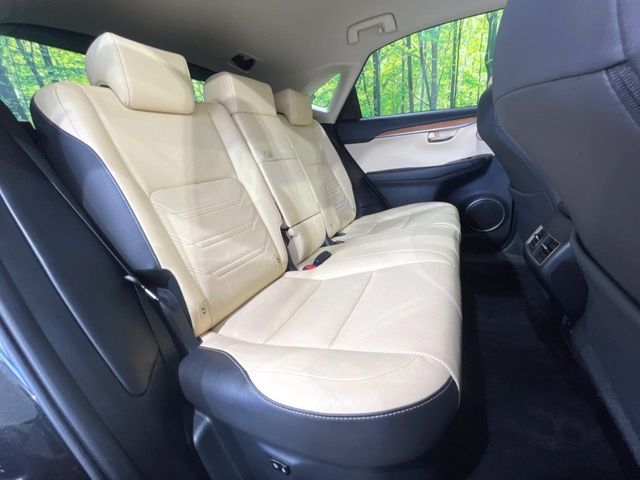 LEXUS NX300h