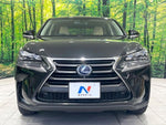 LEXUS NX300h