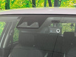 RAIZE HYBRID