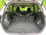 RAIZE HYBRID
