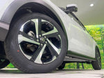 RAIZE HYBRID