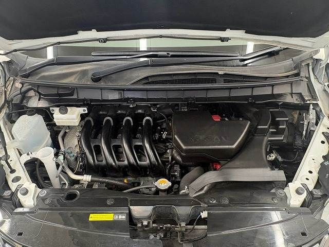 SERENA  S-HYBRID