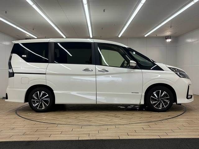 SERENA  S-HYBRID