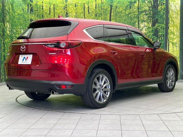 CX-8
