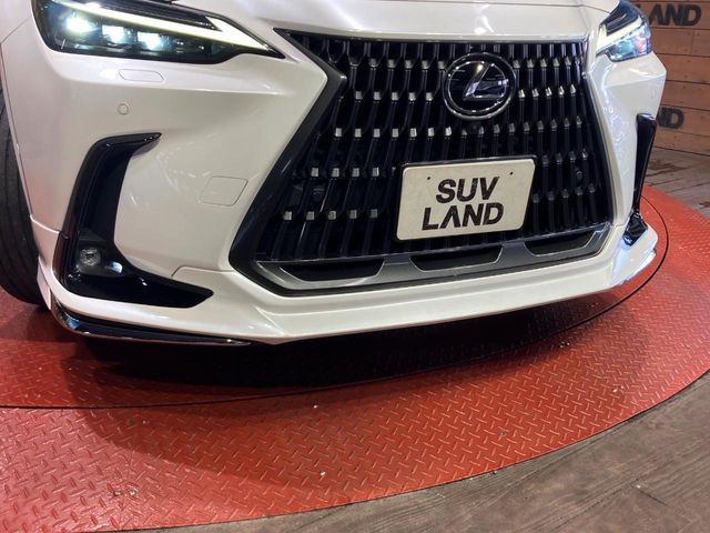 LEXUS NX350h AWD