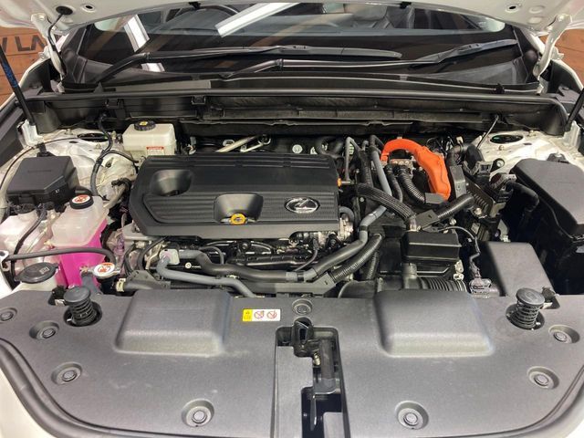LEXUS NX350h AWD