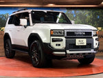 LANDCRUISER 250