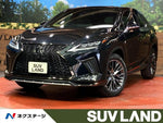 LEXUS RX300