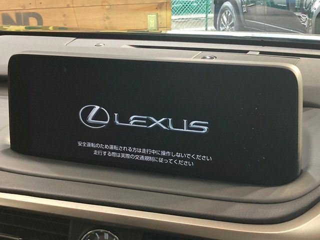 LEXUS RX300