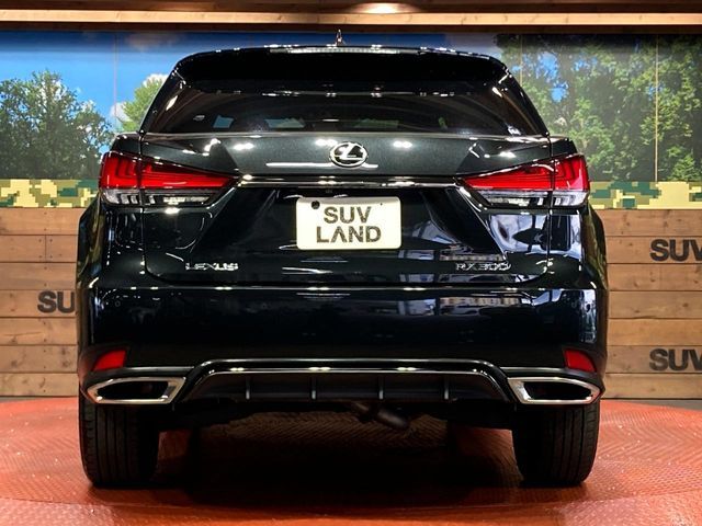 LEXUS RX300