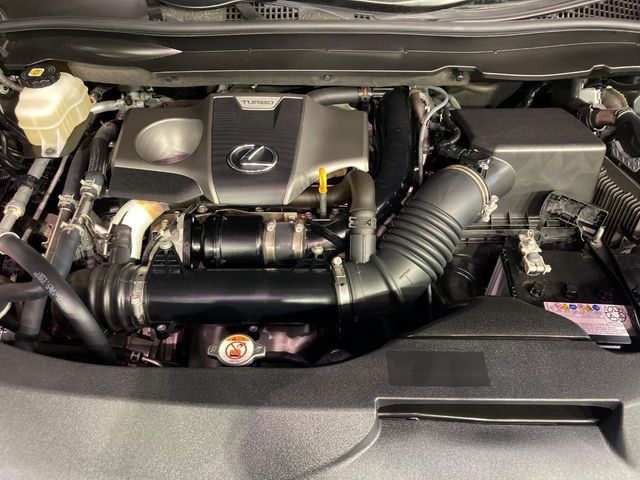 LEXUS RX300
