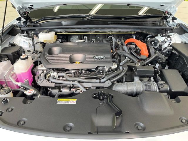 CROWN SPORT