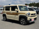 HUSTLER 4WD
