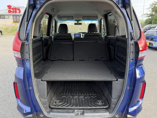 FREED plus HYBRID