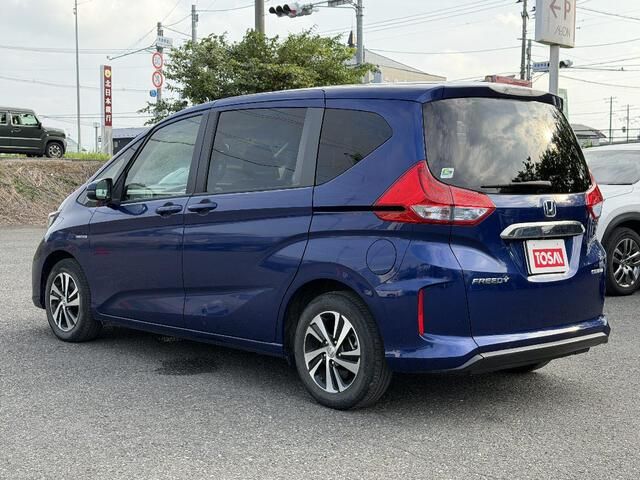FREED plus HYBRID