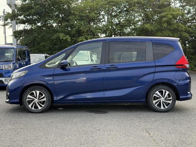 FREED plus HYBRID