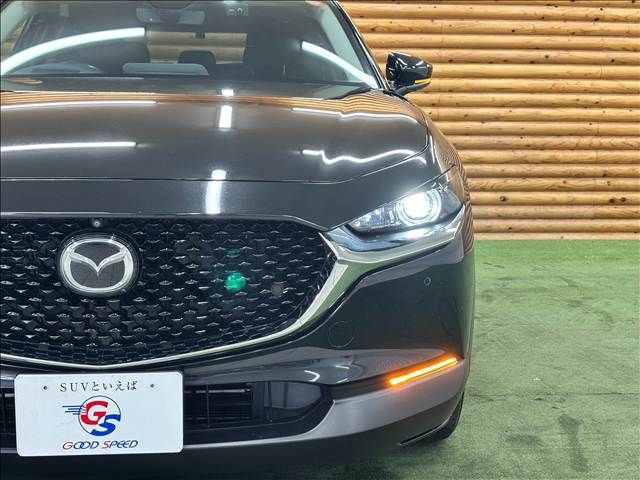CX-30