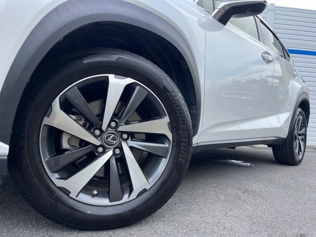 LEXUS NX300h