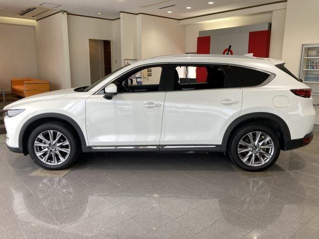 CX-8