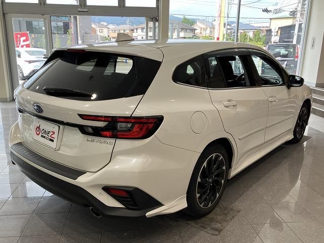 LEVORG