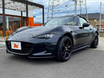 ROADSTER