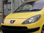 PEUGEOT 1007