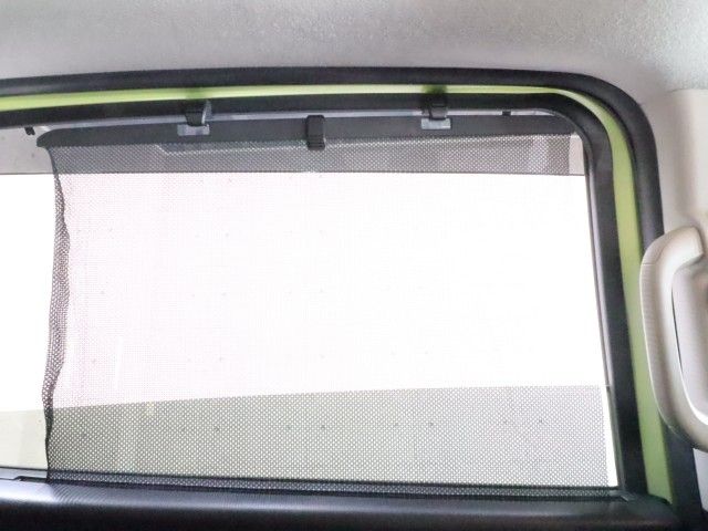 FREED plus