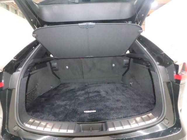 LEXUS NX350h