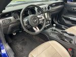 FORD MUSTANG open