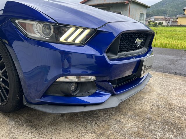FORD MUSTANG open