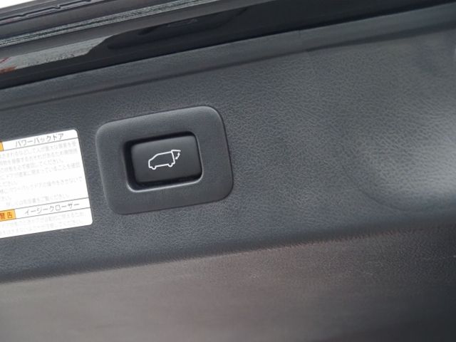 ALPHARD hybrid 4WD