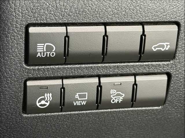 LEXUS NX300h