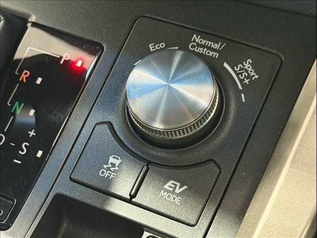 LEXUS NX300h