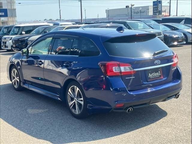 LEVORG