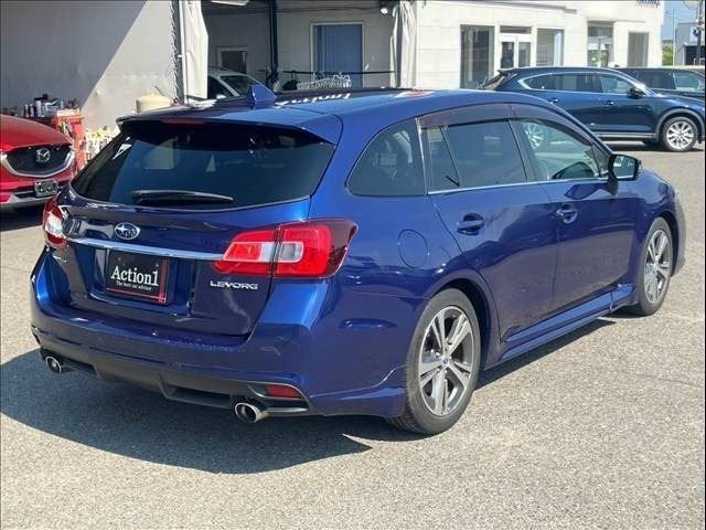 LEVORG