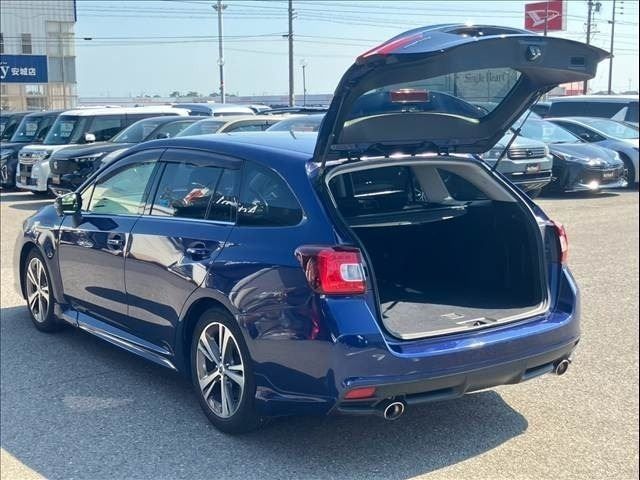 LEVORG