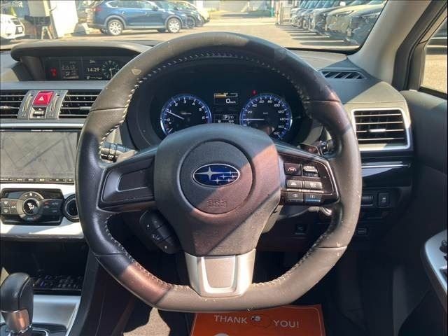 LEVORG