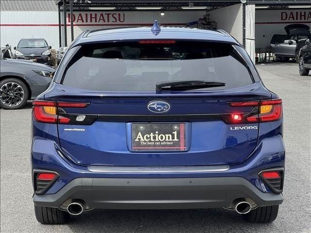 LEVORG