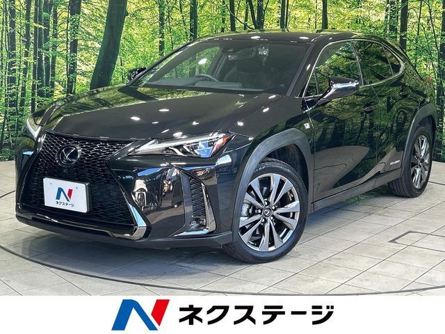 LEXUS UX250h