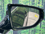 LEXUS UX250h
