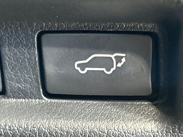 LEXUS UX250h
