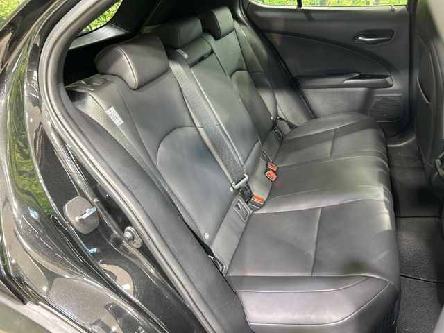 LEXUS UX250h